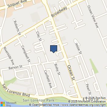 419 Barson Street Santa Cruz, CA MLS# ML81955567