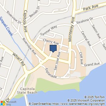 206 Stockton Avenue Capitola, CA MLS# ML81945151