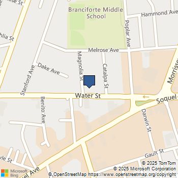 1105 Water Street Santa Cruz, CA MLS# ML81954832