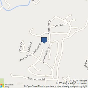 4 Old Mill Avenue Felton, CA MLS# ML82028715