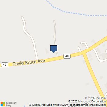 252 DAVID BRUCE AVE Charlotte Court House, VA MLS# 678417