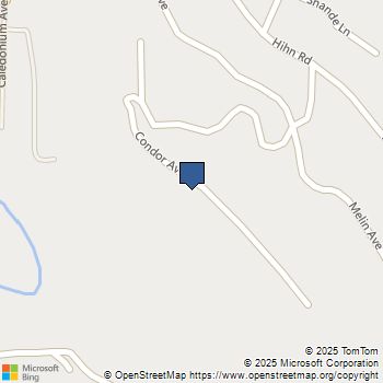 620 Condor Avenue Ben Lomond, CA MLS# ML82024187