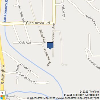 234 Caledonium Avenue Ben Lomond, CA MLS# ML82024035