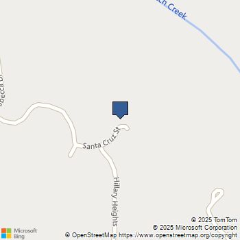 355 Santa Cruz Street Boulder Creek, CA MLS# ML82028847