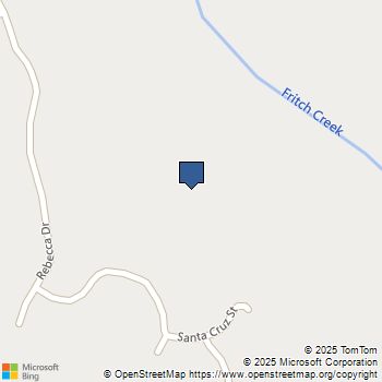 225 Santa Cruz Street Boulder Creek, CA MLS# ML81953340