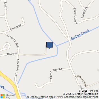 300 River Street Boulder Creek, CA MLS# ML81945269