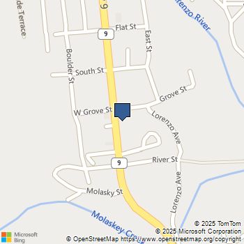 130 Grove Street Boulder Creek, CA MLS# ML81951341