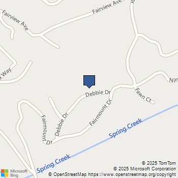 605 Debbie Drive Boulder Creek, CA MLS# ML81951911