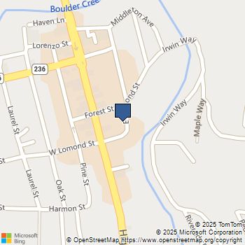 13080 Highway 9 Boulder Creek, CA MLS# ML82028860