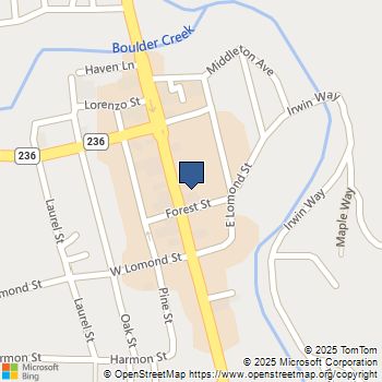 13118 Highway 9 Boulder Creek, CA MLS# ML82019916