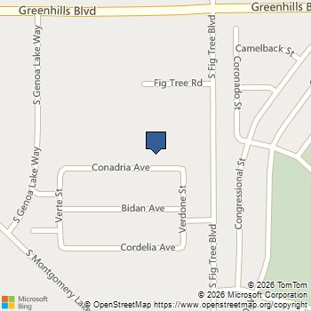 2110 Conadria Avenue Chowchilla, CA MLS# 225601377