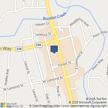 13151 Highway 9 Boulder Creek, CA MLS# ML82026161