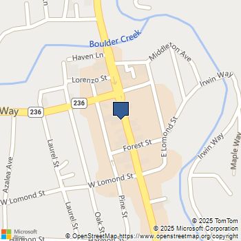 13151 Highway 9 Boulder Creek, CA MLS# ML81935940