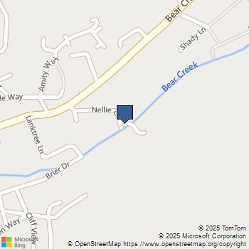 160 Nellie Lane Boulder Creek, CA MLS# ML82025263