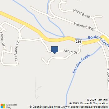 233 Acorn Drive Boulder Creek, CA MLS# ML82015786