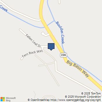 125 Fallen Leaf Drive Boulder Creek, CA MLS# ML82029836