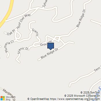 1080 Blue Ridge Drive Boulder Creek, CA MLS# ML82014734