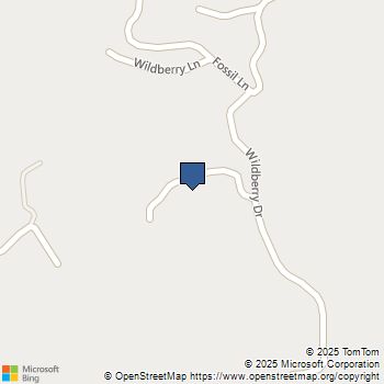 360 Wildberry Drive Boulder Creek, CA MLS# ML81989156
