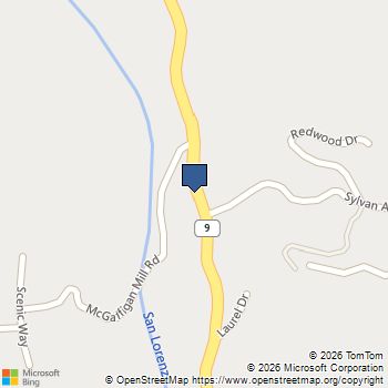 155 Mcgaffigan Mill Road Boulder Creek, CA MLS# ML82035637