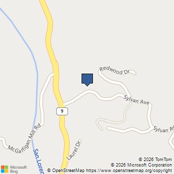 183 Sylvan Avenue Boulder Creek, CA MLS# ML82039231