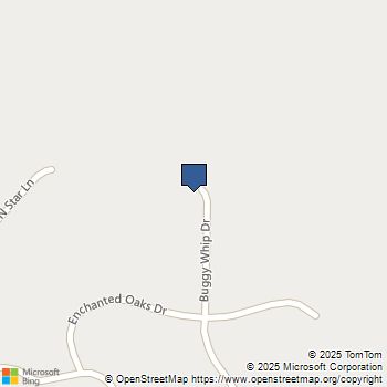 1 Buggy Whip Drive Coarsegold, CA MLS# FR25166186