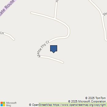 36635 Mattie Fhy Court Coarsegold, CA MLS# FR23168218