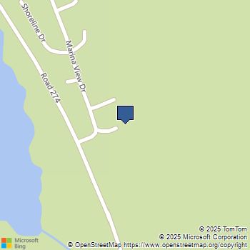 56401 Marina View Way Bass Lake, CA MLS# 225002015