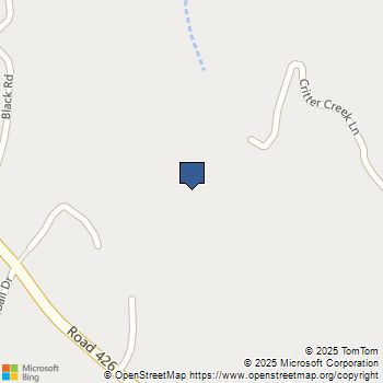 50566 Critter Creek Lane Oakhurst, CA MLS# FR25080121