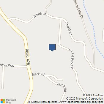 39370 Forest Park Lane Oakhurst, CA MLS# FR24022364