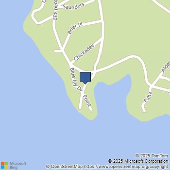 39323 Blue Jay Drive Bass Lake, CA MLS# FR23203635