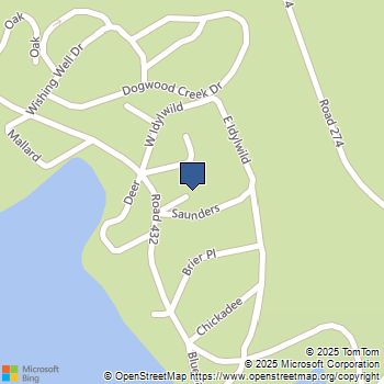 39550 Saunders Bass Lake, CA MLS# SB24148151