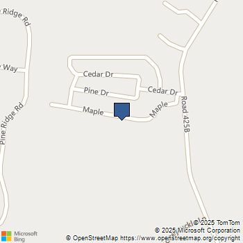 39678 3 Road 425B Oakhurst, CA MLS# FR23230304