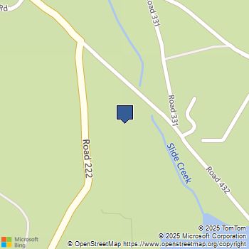 40333 Road 222 102 Bass Lake, CA MLS# MP25150013