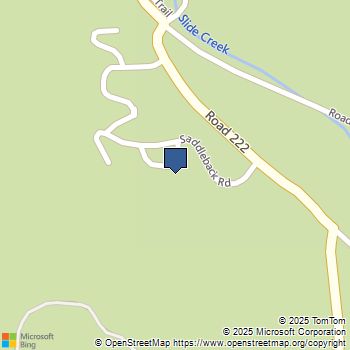 50840 Smoke Tree Trail Bass Lake, CA MLS# MP25227509