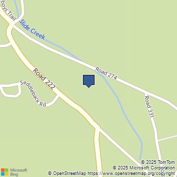 40507 Road 222 102 Bass Lake, CA MLS# MP25162668