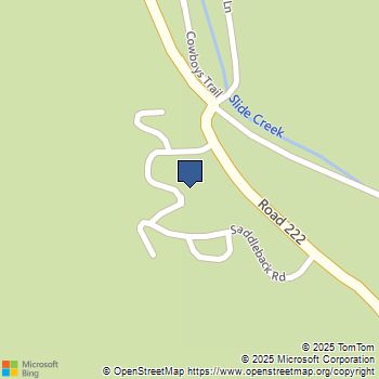 40603 Saddleback Road Bass Lake, CA MLS# SR25120527