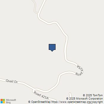 40700 Road 425A Oakhurst, CA MLS# FR25255200