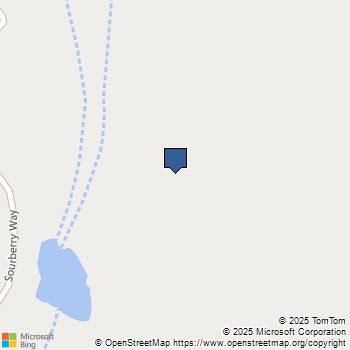 0 39.29 AC Village Drive Oakhurst, CA MLS# FR25227702