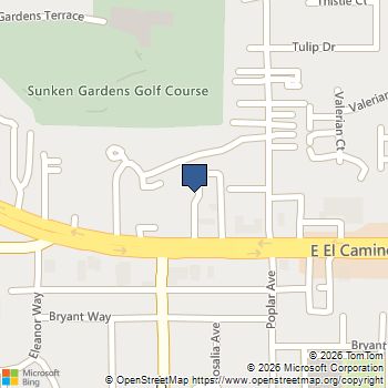 979 Pinto Palm Terrace 45 Sunnyvale, CA MLS# ML82031961