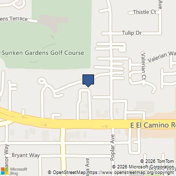 979 Pinto Palm Terrace 45 Sunnyvale, CA MLS# ML82048789