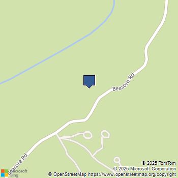 67922 Beasore Road Bass Lake, CA MLS# FR25179104