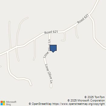 42177 Lone Olive Lane Ahwahnee, CA MLS# FR25103515