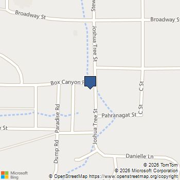 458 Box Canyon Road Alamo, NV MLS# 2812047