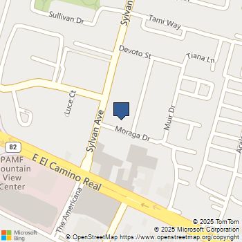 808 Moraga Drive Mountain View, CA MLS# ML82029438