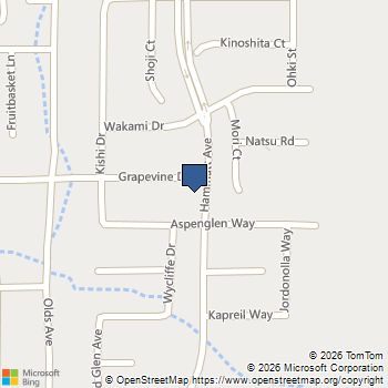 2126 Grapevine Drive Livingston, CA MLS# ML82028249