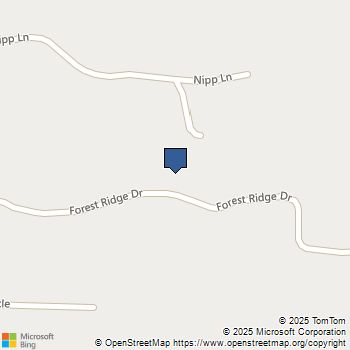 45315 Forest Ridge Drive Ahwahnee, CA MLS# MP25139103