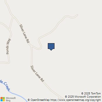 4200 Silver Lane Road Mariposa, CA MLS# FR25250786