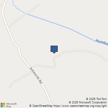 4582 Ashworth Mariposa, CA MLS# MP25255180