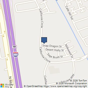 493 Snap Dragon Street Milpitas, CA MLS# ML82058346