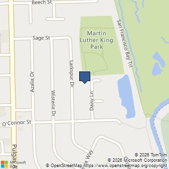 429 Daisy Lane East Palo Alto, CA MLS# ML82039327